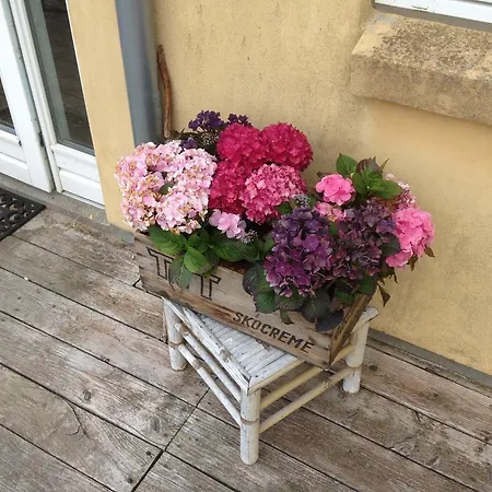 Bed and Breakfast Mollegaardens *