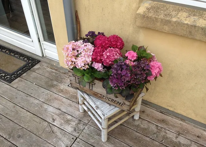 Bed & Breakfast Mollegaardens B&B *