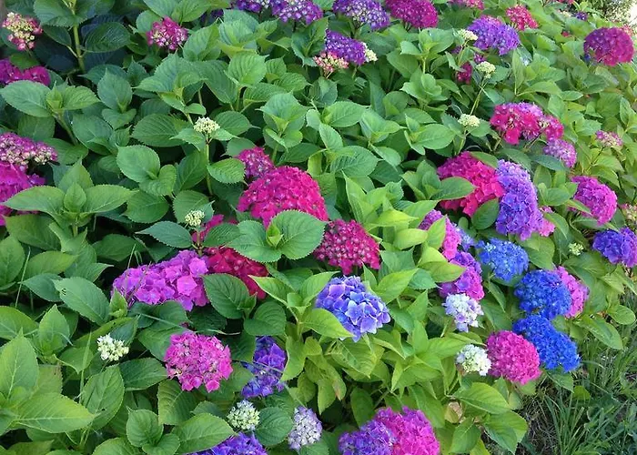 Mollegaardens B&B Sepstrup